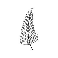 palm leaf icon design outline style vector