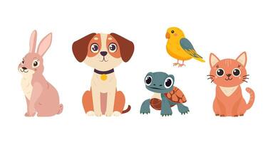 Set with pets. Cat, dog, parrot, rabbit, turtle. flat style. vector