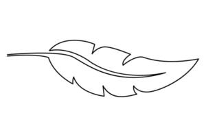 Clean and stylish one line feather drawing for graphics vector