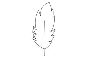 Stylish one line drawing of feather for clean artwork vector