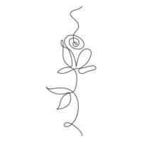 One-line art of a beautiful rose flower simple yet captivating design for various uses vector