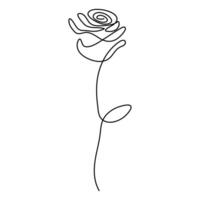 Artistic one-line rose sketch a unique floral illustration for home decor and branding vector