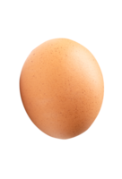 Side view of single brown chicken egg isolated in file format png