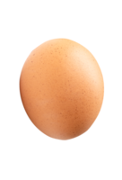 Top view of single brown chicken egg isolated in file format png