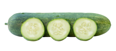 Side view of fresh green cucumber with slices in circle shape in stack isolated with clipping path in file format png