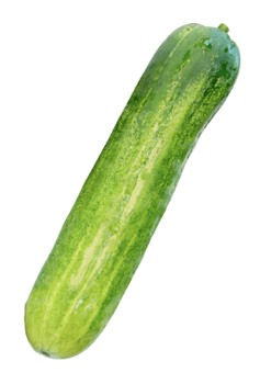 oben Aussicht von frisch lange Grün Gurke isoliert mit Ausschnitt Pfad im Datei Format png