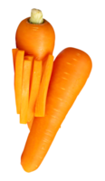 Side view of orange carrot roots with slices in stick shape in stack isolated with clipping path in file format png
