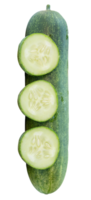 Top view of fresh green cucumber with slices in circle shape in stack isolated with clipping path in file format png