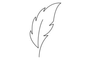 Elegant feather drawing in continuous line art for stylish designs vector