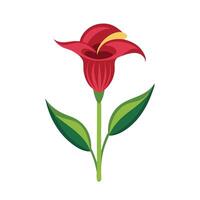 Jack-in-the-Pulpit flower isolated flat illustration on white background vector