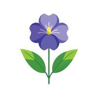 Veronica flower isolated flat illustration on white background vector