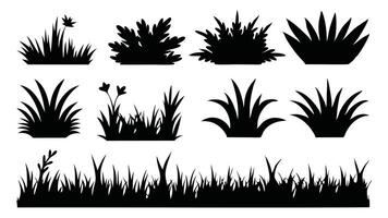 Various grass silhouettes set isolated flat illustration on white background vector