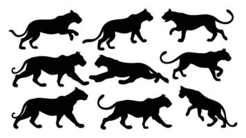 Tigers run, sit, jump various type of pose silhouettes set isolated flat illustrati vector