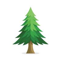 Engelmann Spruce tree isolated flat illustration on white background. vector