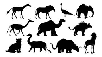 Elephant, giraffe, alligator, lion, chimpanzee, python, ostrich, camel silhouettes set isolated flat illustration on white background vector