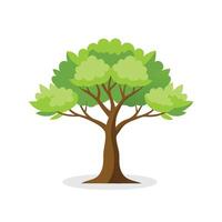 Honeylocust tree isolated flat illustration on white background. vector