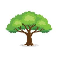 Hawthorn tree isolated flat illustration on white background. vector