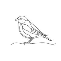 Finch bird continuous line art flat illustration on white background vector