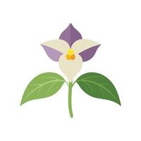 Trillium flower isolated flat illustration on white background vector