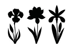 Iris, narcissus, and lily flowers set silhouettes isolated flat illustration on white background vector