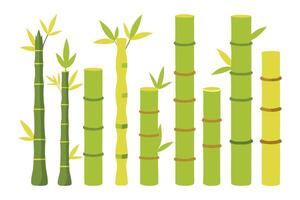 Bamboo set isolated flat illustration on white background. vector