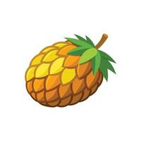 Pindo palm fruit isolated flat illustration on white background. vector