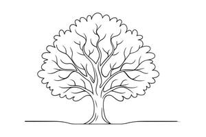 Sycamore Tree isolated continuous line art flat illustration on white background vector