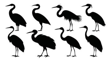 Heron Birds silhouettes set isolated flat illustration on white background. vector