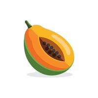 Papaya fruit flat illustration on white background. vector