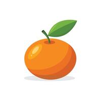 Orange fruit flat illustration on white background. vector