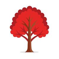 Red Alder tree isolated flat illustration on white background vector