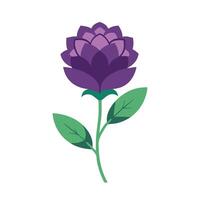 Statice flower isolated flat illustration on white background vector