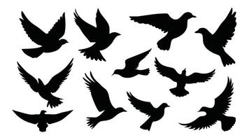 Flock of flying birds silhouettes set isolated flat illustration on white background. vector