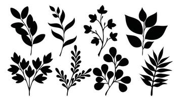 Botanical floral branch silhouettes set isolated flat illustration on white background. vector