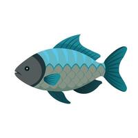Tilapia animal isolated flat illustration on white background vector