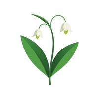 Lily of the Valley Flower flower isolated flat illustration on white background. vector