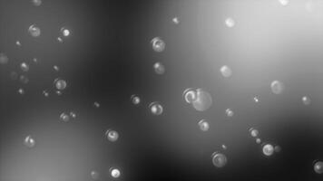 Abstract falling raindrops on a grey background. Motion. Monochrome backdrop with appearing round water drops. video