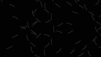 Abstract narrow neon lines moving very fast in a circle isolated on black background. Design. Glowing stripes flying on the same trajectory many times. video