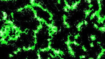 Microbes and worms background, biological abstract pattern. Design. Abstract moving worms under microscope. video