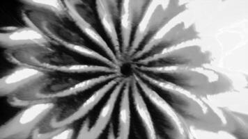 Abstract 3d pattern in floral form. Motion. Floral pattern with moving hole in center. Lines of 3d floral pattern move with black hole in center video