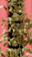 Close up of oat flakes falling down. Stock footage. Oatmeal splash, small flakes flying on black background with red vertical stripes, concept of healthy breakfast. video