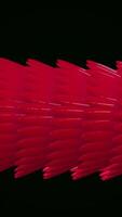 Animation of colored dragon. Animation. Part of a colored bending dragon on a black background loop video