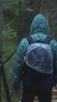View from the back of tourist in blue jacket with backpack walking on the suspension bridge in autumn forest. Stock footage. Hiking to forest in the beginning of autumn video