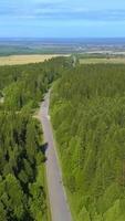 A bird's-eye view of the forest. Clip. A huge forest with tall green trees, next to the road, behind which is a yellow field, blue sky and in the distance a river or pond. video