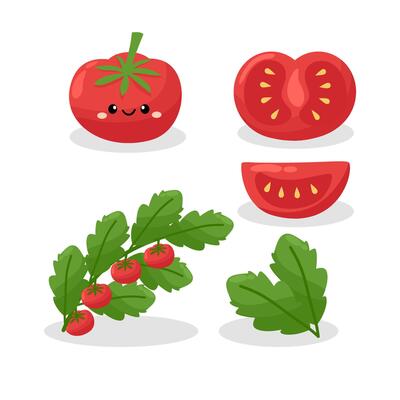 Set of hand drawn tomato.