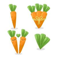 Set of hand drawn carrot vegetables. vector