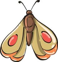 luna moth with nice colorful vector