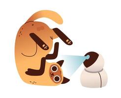 Cat with a pet surveillance camera. Flat illustration of cat and technology vector