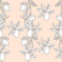 Lemon Hand Drawn Illustration Seamless Pattern vector