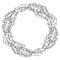 Green salad spinach kale leaf diet and healthy lifestyle, vegan cooking. Hand drawn ink. Illustration circle wreath frame isolated on white background. Design recipe book, website, card, menu vector
